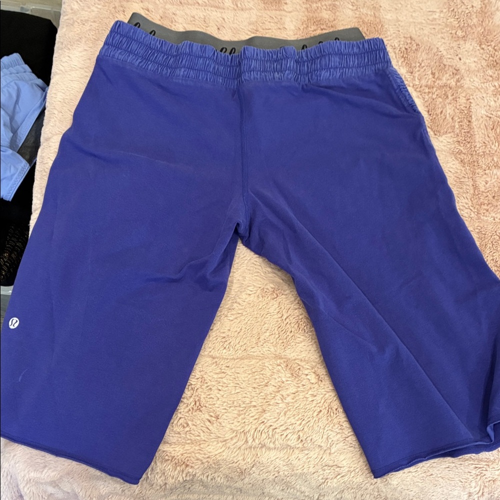 lululemon athletica Purple Women's Athletic Shorts